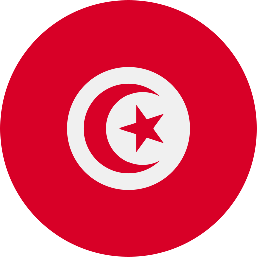 الكرة التونسية