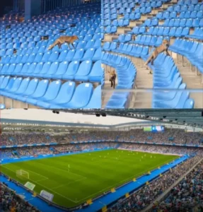 ثعالب تقتحم ملعب ديبورتيفو لاكورونيا بإسبانيا وتعطّل التدريب