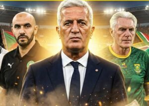 بيتكوفيتش الأعلى أجرًا بإفريقيا.. والرّكراكي ضمن القائمة