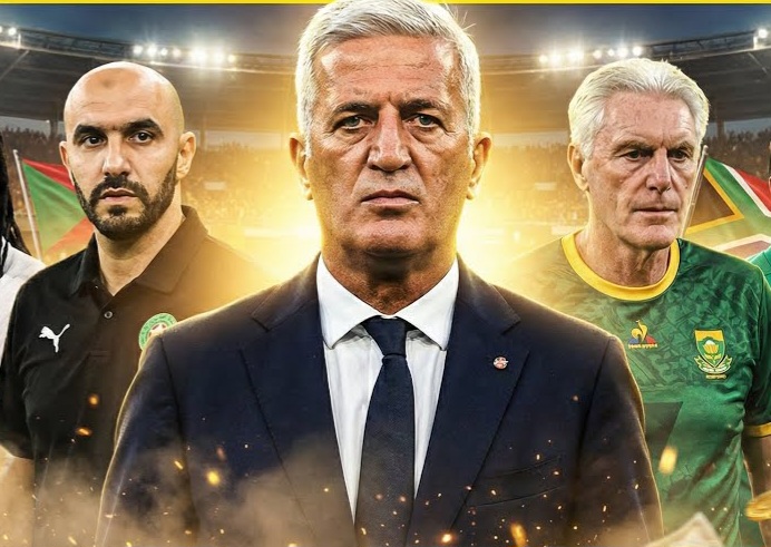 بيتكوفيتش الأعلى أجرًا بإفريقيا.. والرّكراكي ضمن القائمة